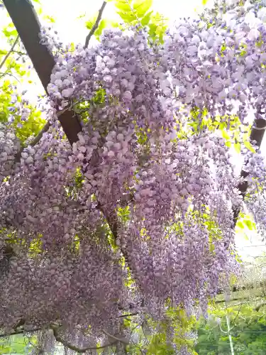 和氣神社（和気神社）の自然