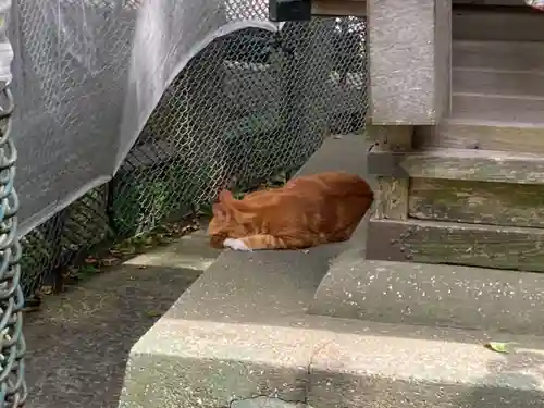 海南神社(神奈川県)