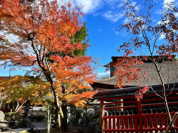 松尾大社(京都府)