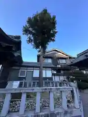 瘡山神社(滋賀県)