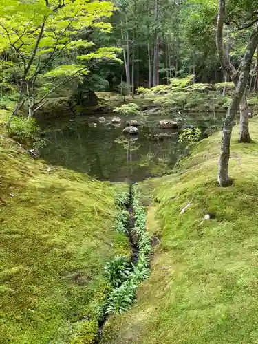 西芳寺の庭園