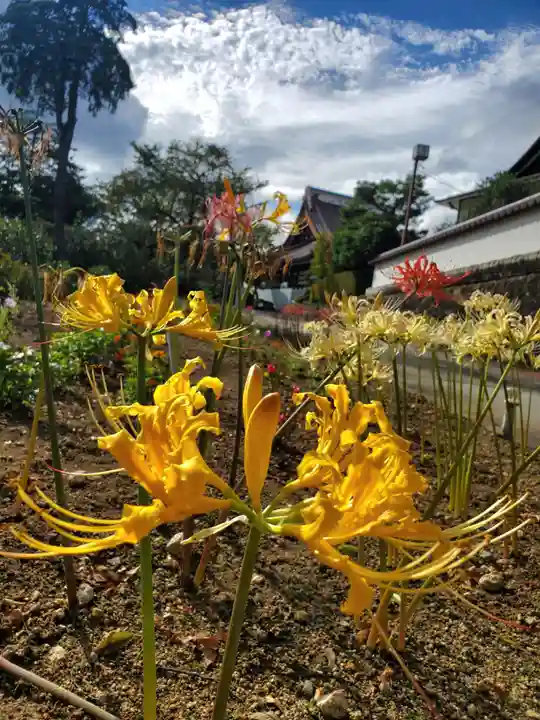 如宝寺(福島県)