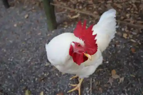 熱田神宮(愛知県)