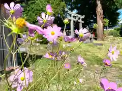 諏訪神社(長野県)