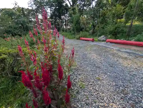 阿久津「田村神社」（郡山市阿久津町）旧社名：伊豆箱根三嶋三社(福島県)
