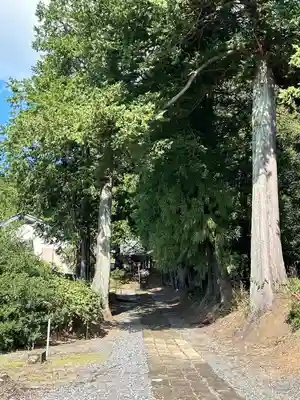 露垂根神社(栃木県)