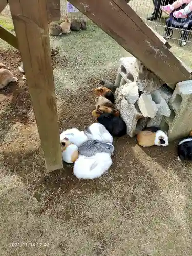 東本願寺本廟 牛久浄苑（牛久大仏）の動物