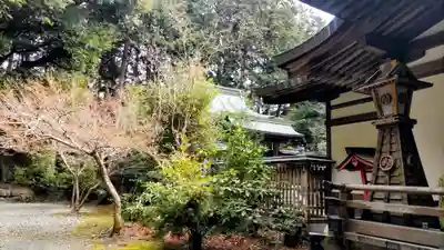 龍尾神社(静岡県)