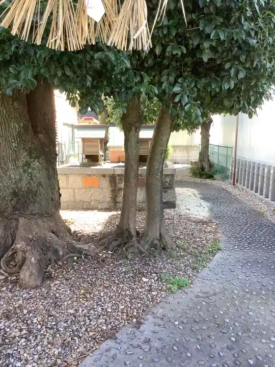 秋葉山尺坊・奥山半僧坊のその他建物