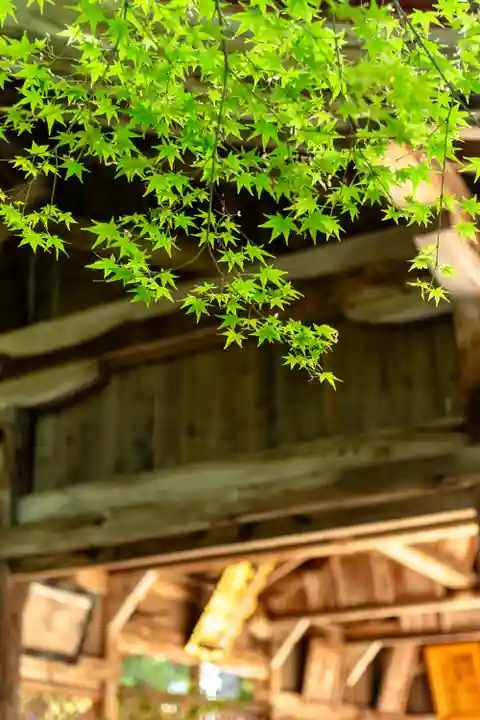 大元神社(厳島神社境外摂社)(広島県)