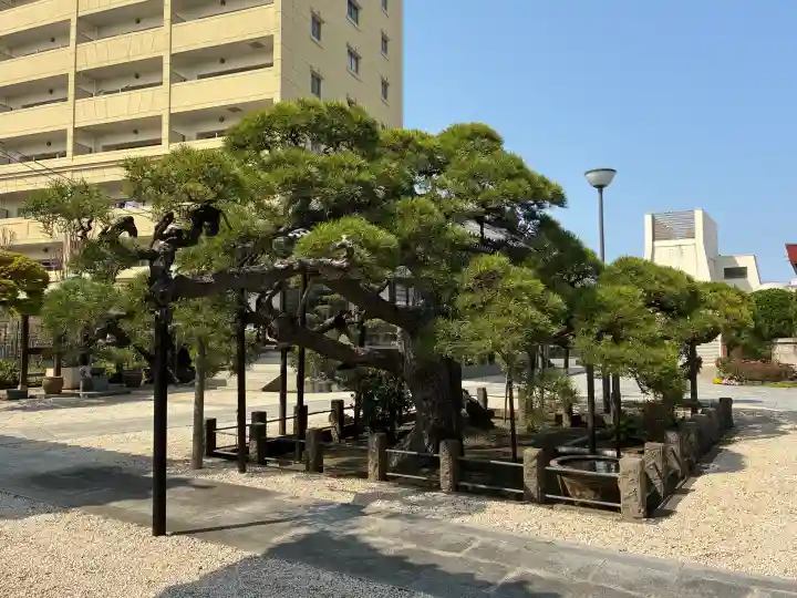 光明寺の{uncategorized: "未分類", other: "その他", undefined: "問題あり", building: "その他建物", grave: "お墓", sacred_gate: "鳥居", guardian: "狛犬", statue: "像", buddha: "仏像", history: "歴史", nature: "自然", garden: "庭園", animal: "動物", pagoda: "塔", temizu: "手水舎", mountain_gate: "山門・神門", sanctuary: "本殿・本堂", subordinate: "末社・摂社", art: "芸術", scenery: "景色", jizo: "地蔵", ema: "絵馬", goshuin: "御朱印", omikuji: "おみくじ", items: "授与品その他", amulet: "お守り", goshuincho: "御朱印帳", eats: "食事", festival: "お祭り", votive_dance: "神楽", shichigosan: "七五三参", wedding: "結婚式", experience: "体験その他", initially: "初詣", around: "周辺", anti_infection: "感染症対策"}