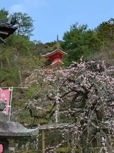 今熊野観音寺(京都府)