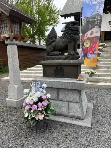 札幌諏訪神社の狛犬