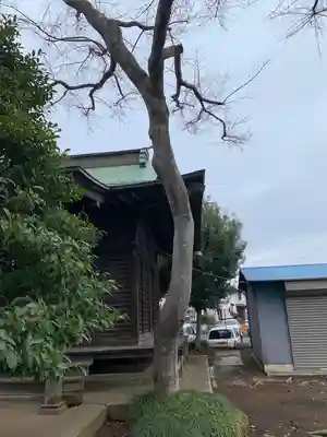 深大寺稲荷神社の自然