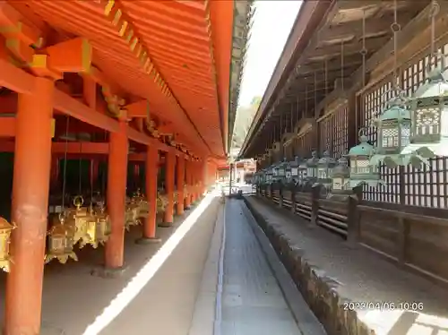 春日大社(奈良県)