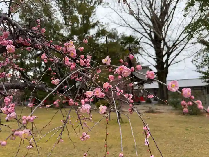 美奈宜神社(福岡県)