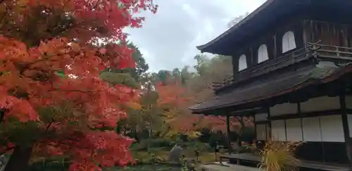 慈照寺（慈照禅寺・銀閣寺）のその他建物
