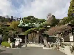 長谷寺(神奈川県)