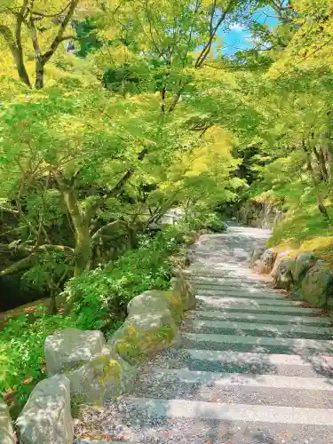 東福禅寺（東福寺）の{uncategorized: "未分類", other: "その他", undefined: "問題あり", building: "その他建物", grave: "お墓", sacred_gate: "鳥居", guardian: "狛犬", statue: "像", buddha: "仏像", history: "歴史", nature: "自然", garden: "庭園", animal: "動物", pagoda: "塔", temizu: "手水舎", mountain_gate: "山門・神門", sanctuary: "本殿・本堂", subordinate: "末社・摂社", art: "芸術", scenery: "景色", jizo: "地蔵", ema: "絵馬", goshuin: "御朱印", omikuji: "おみくじ", items: "授与品その他", amulet: "お守り", goshuincho: "御朱印帳", eats: "食事", festival: "お祭り", votive_dance: "神楽", shichigosan: "七五三参", wedding: "結婚式", experience: "体験その他", initially: "初詣", around: "周辺", anti_infection: "感染症対策"}