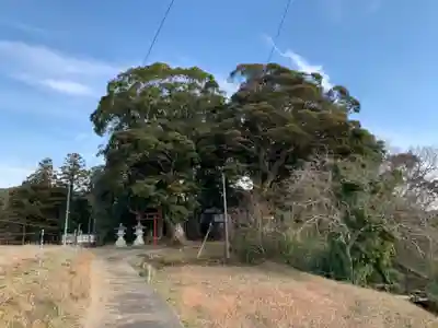 稲荷神社の周辺