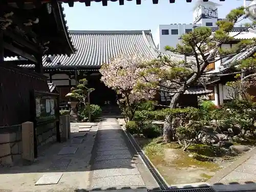 圓通寺の庭園