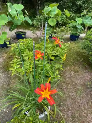 法金剛院(京都府)