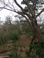 明王院（満願寺別院）の自然