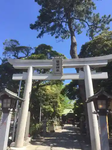 菊田神社の鳥居