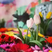 札幌諏訪神社の手水舎