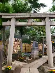 高円寺氷川神社の鳥居