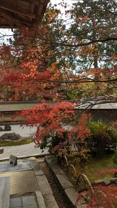 龍安寺(京都府)