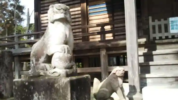 橘樹神社の狛犬