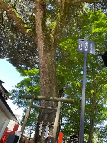 大前神社の{uncategorized: "未分類", other: "その他", undefined: "問題あり", building: "その他建物", grave: "お墓", sacred_gate: "鳥居", guardian: "狛犬", statue: "像", buddha: "仏像", history: "歴史", nature: "自然", garden: "庭園", animal: "動物", pagoda: "塔", temizu: "手水舎", mountain_gate: "山門・神門", sanctuary: "本殿・本堂", subordinate: "末社・摂社", art: "芸術", scenery: "景色", jizo: "地蔵", ema: "絵馬", goshuin: "御朱印", omikuji: "おみくじ", items: "授与品その他", amulet: "お守り", goshuincho: "御朱印帳", eats: "食事", festival: "お祭り", votive_dance: "神楽", shichigosan: "七五三参", wedding: "結婚式", experience: "体験その他", initially: "初詣", around: "周辺", anti_infection: "感染症対策"}