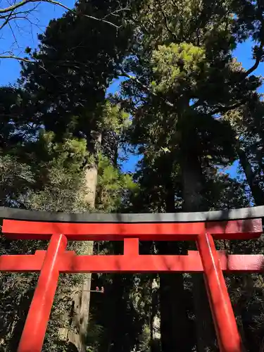 箱根神社(神奈川県)