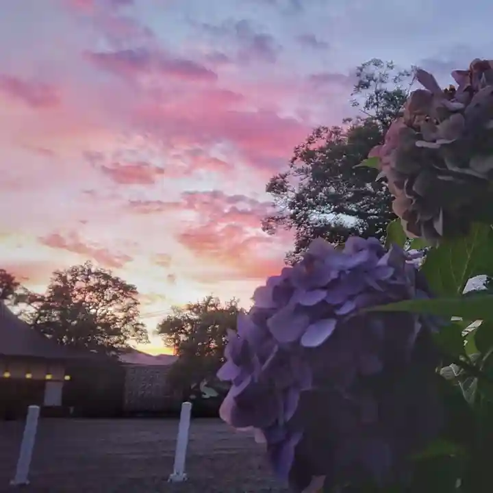 尾張大國霊神社(国府宮)の自然