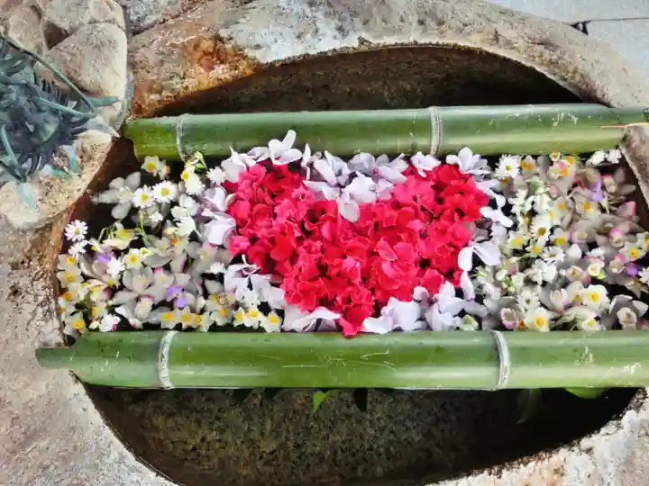 立志神社の手水舎
