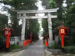 馬橋稲荷神社の鳥居