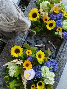 滑川神社 - 仕事と子どもの守り神(福島県)(2025年07月05日(土) 09時34分12秒投稿)