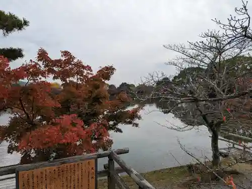 大覚寺の景色