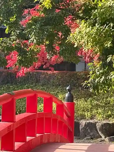 白山神社(新潟県)