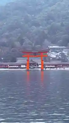 厳島神社の{uncategorized: "未分類", other: "その他", undefined: "問題あり", building: "その他建物", grave: "お墓", sacred_gate: "鳥居", guardian: "狛犬", statue: "像", buddha: "仏像", history: "歴史", nature: "自然", garden: "庭園", animal: "動物", pagoda: "塔", temizu: "手水舎", mountain_gate: "山門・神門", sanctuary: "本殿・本堂", subordinate: "末社・摂社", art: "芸術", scenery: "景色", jizo: "地蔵", ema: "絵馬", goshuin: "御朱印", omikuji: "おみくじ", items: "授与品その他", amulet: "お守り", goshuincho: "御朱印帳", eats: "食事", festival: "お祭り", votive_dance: "神楽", shichigosan: "七五三参", wedding: "結婚式", experience: "体験その他", initially: "初詣", around: "周辺", anti_infection: "感染症対策"}