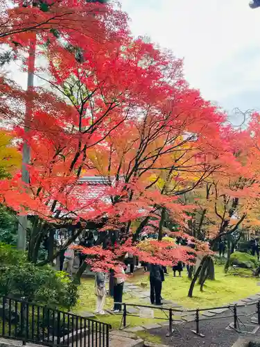 禅林寺（永観堂）(京都府)