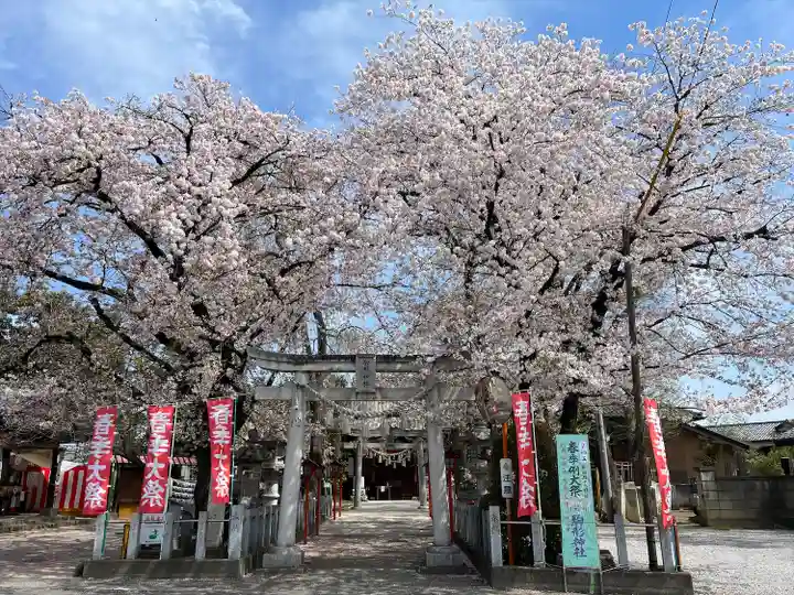 駒形神社(群馬県)