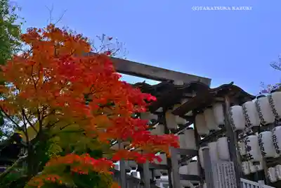 伊勢山皇大神宮(神奈川県)