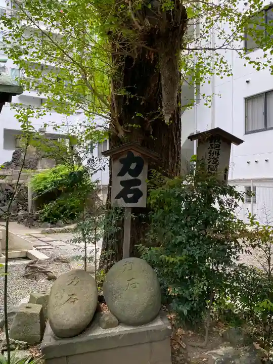鐵砲洲稲荷神社の{uncategorized: "未分類", other: "その他", undefined: "問題あり", building: "その他建物", grave: "お墓", sacred_gate: "鳥居", guardian: "狛犬", statue: "像", buddha: "仏像", history: "歴史", nature: "自然", garden: "庭園", animal: "動物", pagoda: "塔", temizu: "手水舎", mountain_gate: "山門・神門", sanctuary: "本殿・本堂", subordinate: "末社・摂社", art: "芸術", scenery: "景色", jizo: "地蔵", ema: "絵馬", goshuin: "御朱印", omikuji: "おみくじ", items: "授与品その他", amulet: "お守り", goshuincho: "御朱印帳", eats: "食事", festival: "お祭り", votive_dance: "神楽", shichigosan: "七五三参", wedding: "結婚式", experience: "体験その他", initially: "初詣", around: "周辺", anti_infection: "感染症対策"}