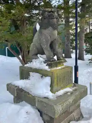 信濃神社の狛犬