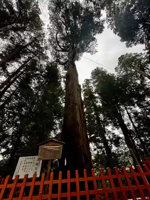 高千穂神社(宮崎県)