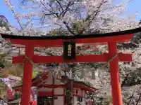 金櫻神社の{uncategorized: "未分類", other: "その他", undefined: "問題あり", building: "その他建物", grave: "お墓", sacred_gate: "鳥居", guardian: "狛犬", statue: "像", buddha: "仏像", history: "歴史", nature: "自然", garden: "庭園", animal: "動物", pagoda: "塔", temizu: "手水舎", mountain_gate: "山門・神門", sanctuary: "本殿・本堂", subordinate: "末社・摂社", art: "芸術", scenery: "景色", jizo: "地蔵", ema: "絵馬", goshuin: "御朱印", omikuji: "おみくじ", items: "授与品その他", amulet: "お守り", goshuincho: "御朱印帳", eats: "食事", festival: "お祭り", votive_dance: "神楽", shichigosan: "七五三参", wedding: "結婚式", experience: "体験その他", initially: "初詣", around: "周辺", anti_infection: "感染症対策"}