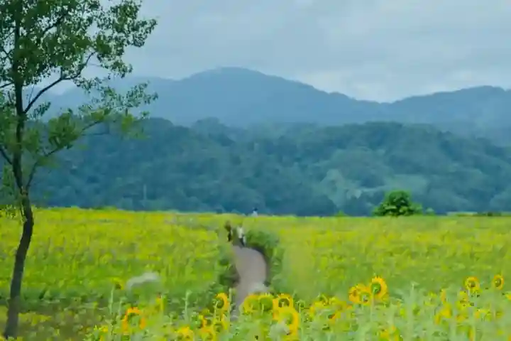 沢山神社(澤山神社)(新潟県)