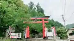 金櫻神社の鳥居